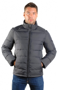 r13608-pered-t.seryj